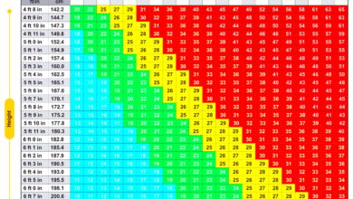 Printable Bmi Chart