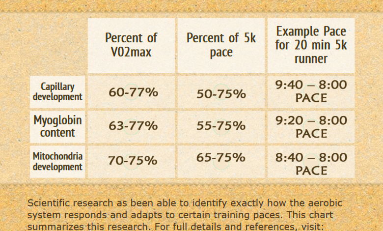 Running Workout Pace Calculator  EOUA Blog