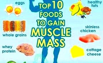 Best Bodybuilding Foods for Lean Muscle Mass  Pro Muscle Online