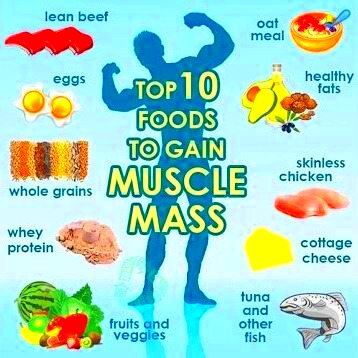 Best Bodybuilding Foods for Lean Muscle Mass  Pro Muscle Online